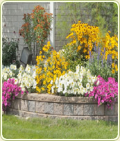 Foundation Repair and Basement Waterproofing in Omaha, NE from Water Solutions, LLC.